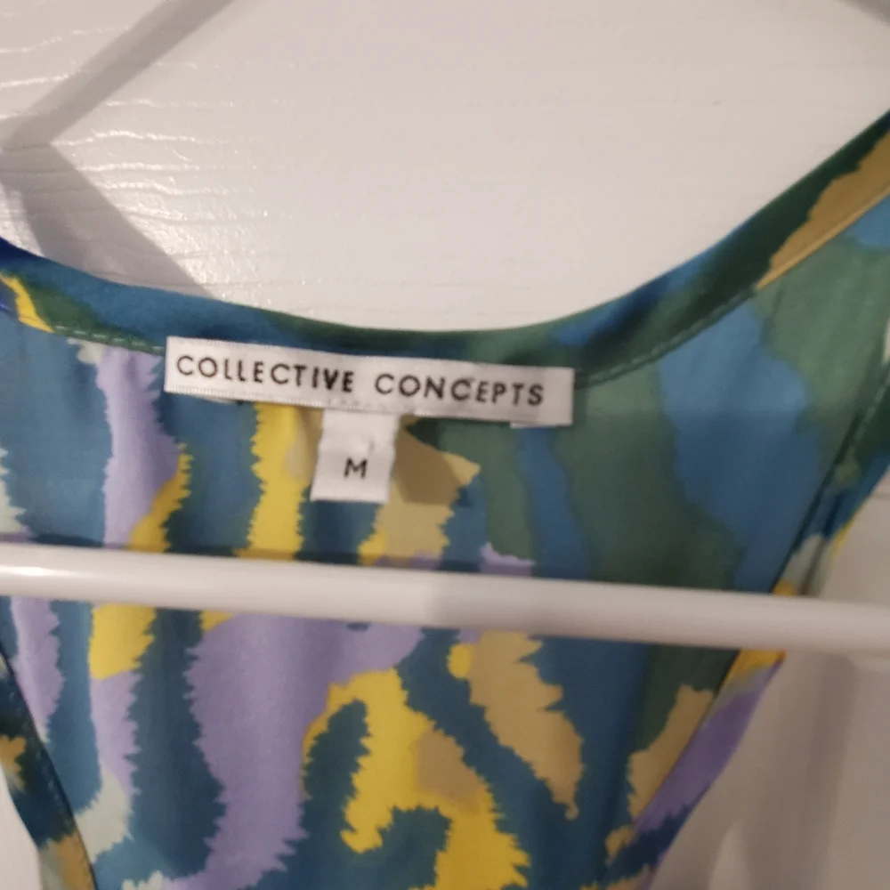 Women's Collective Collection Dress - Picture 4 of 6